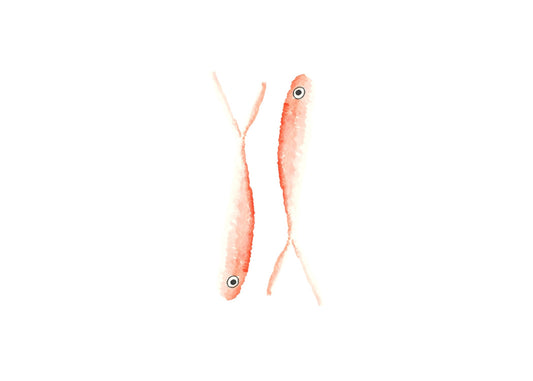 Two pink sardines