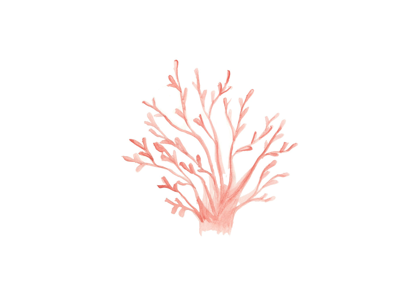 Coral