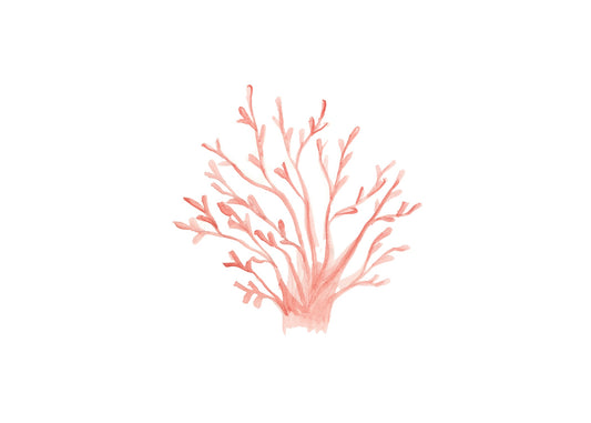 Coral