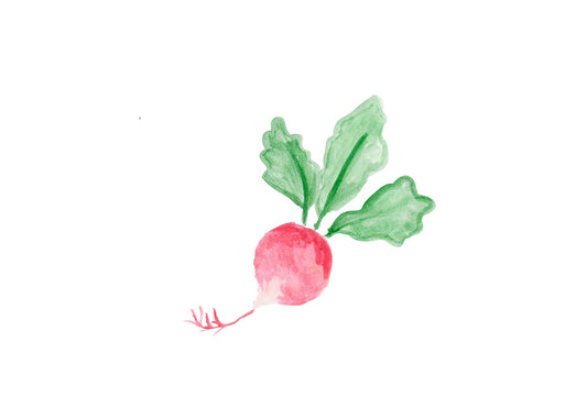 Radish