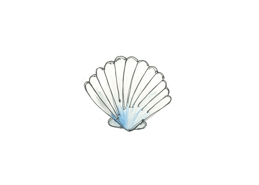 Scallop shell