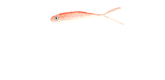 Pink sardine