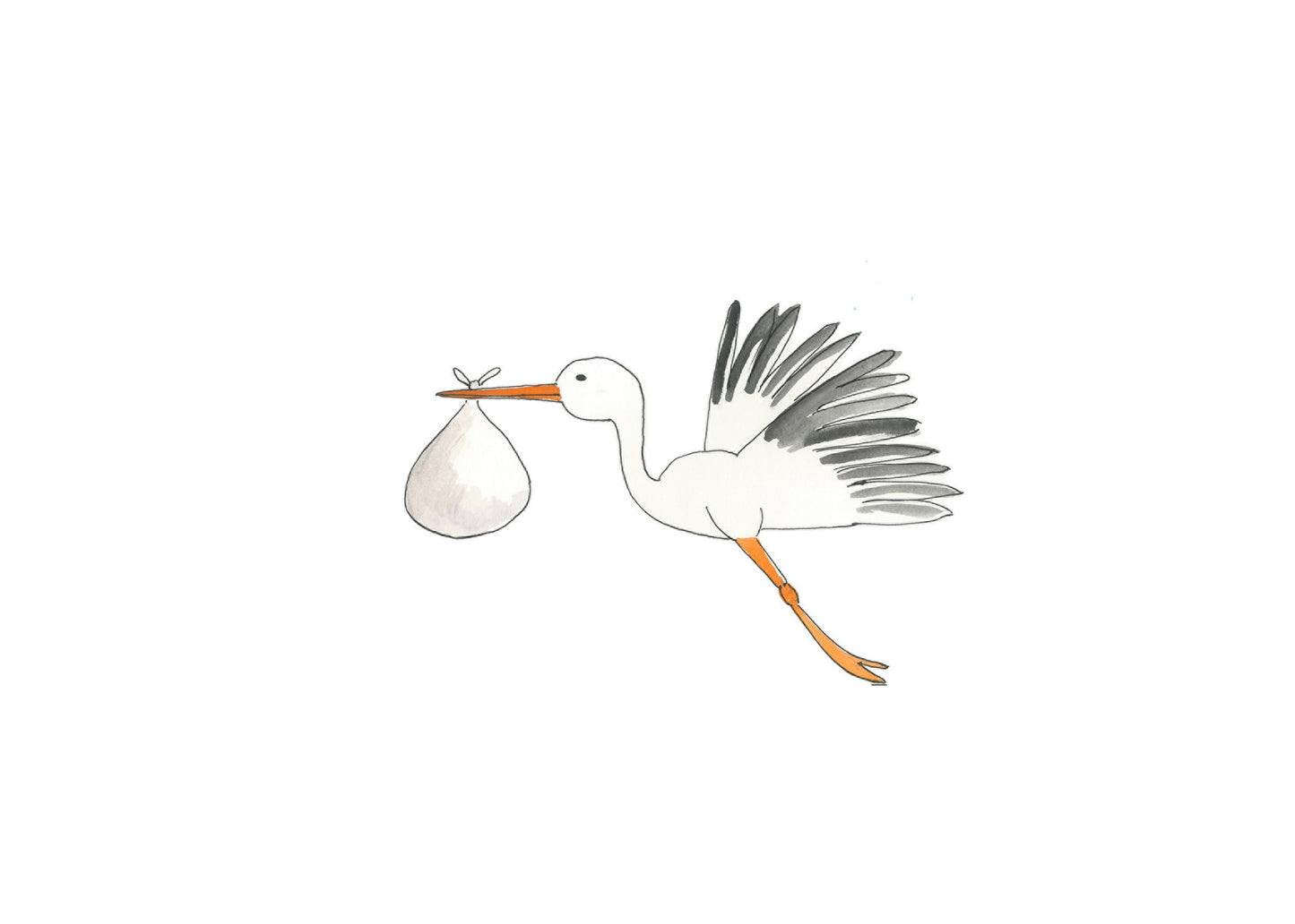 Stork