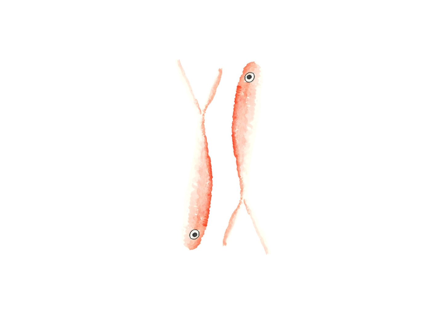 Two pink sardines