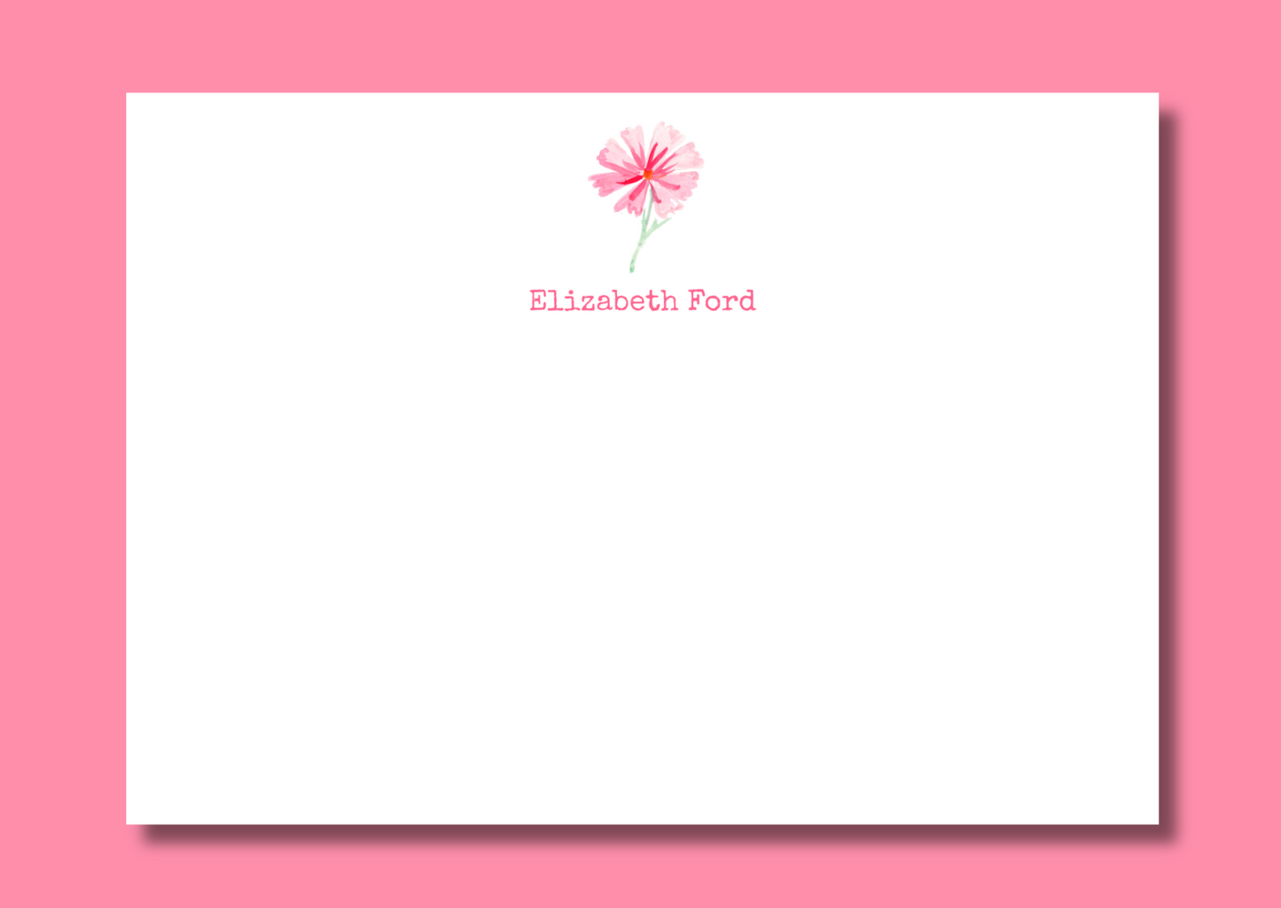 Pink cosmos