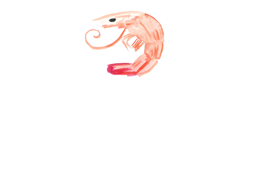 Shrimp