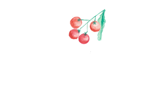 Tomatoes on the vine