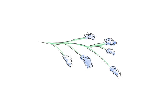 Blue sprig