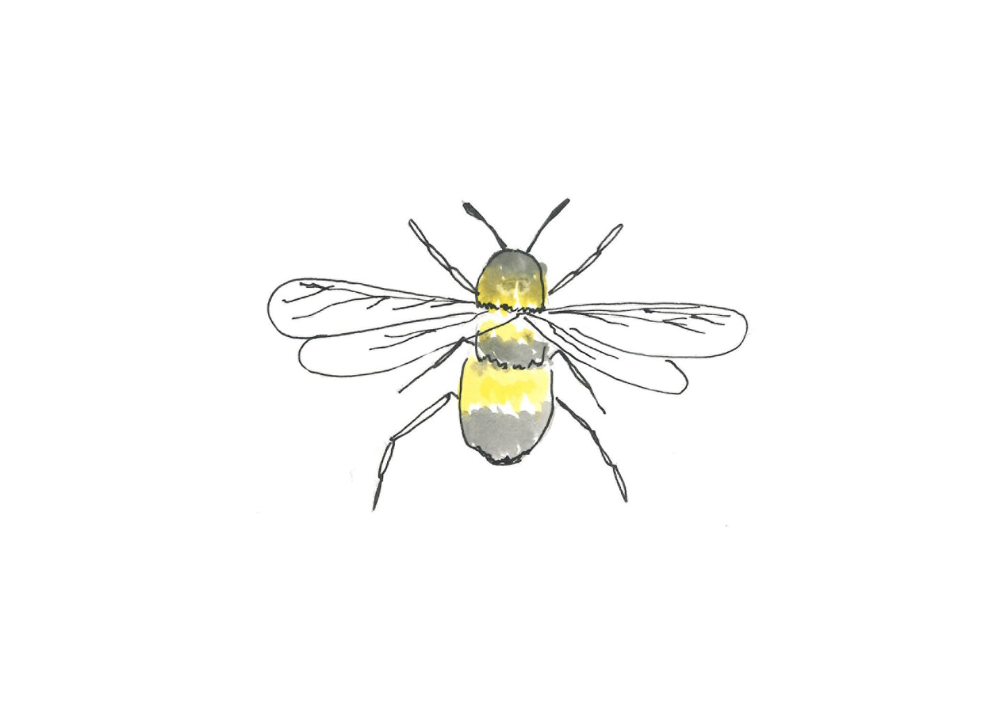 Bumble bee