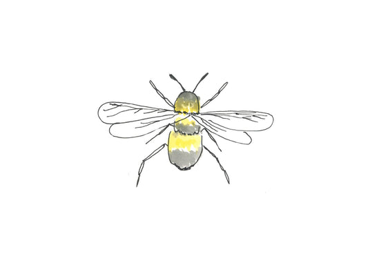 Bumble bee