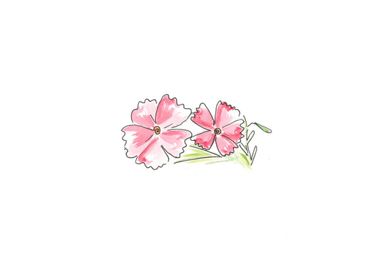 Pink hollyhocks