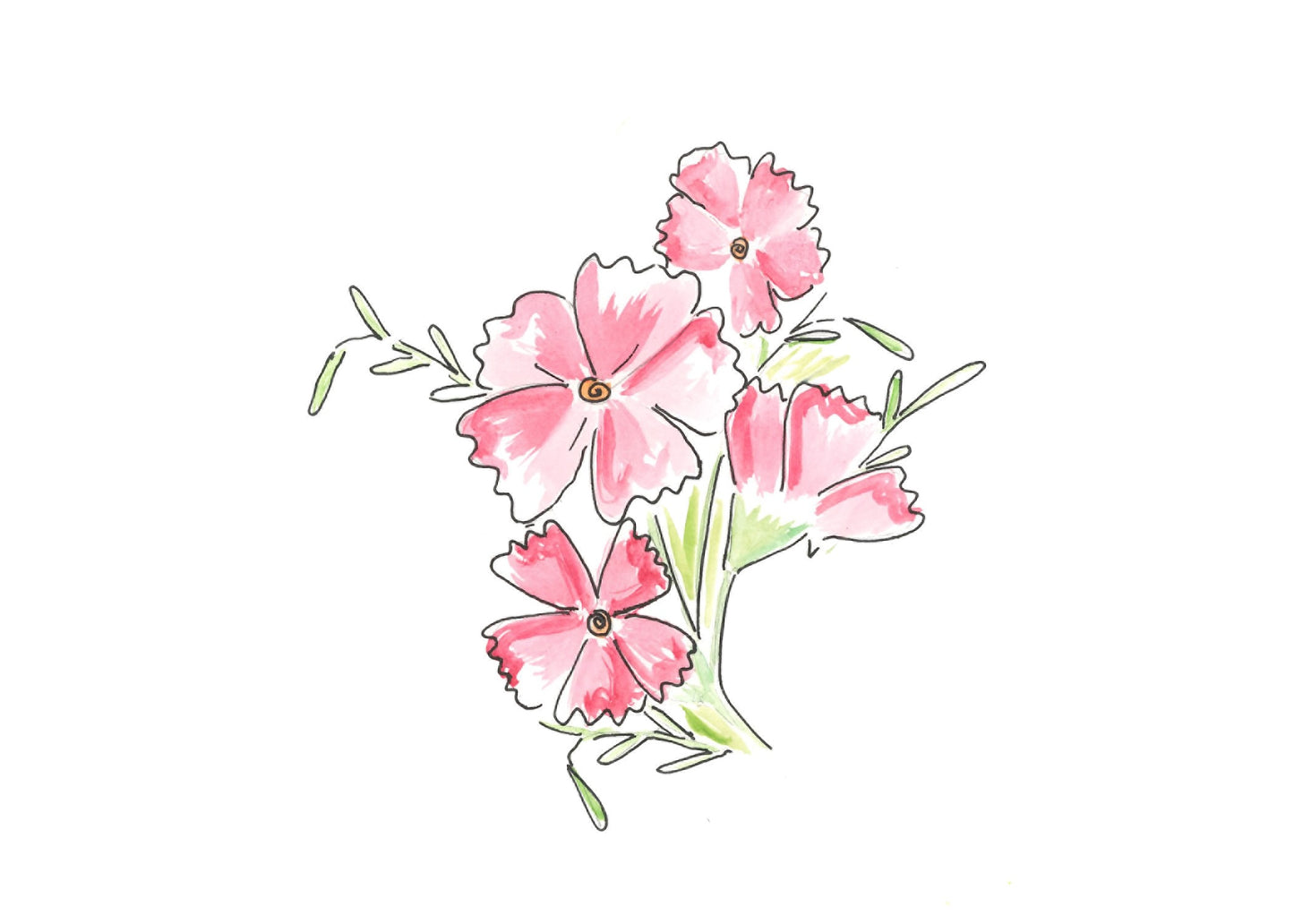 Hollyhocks