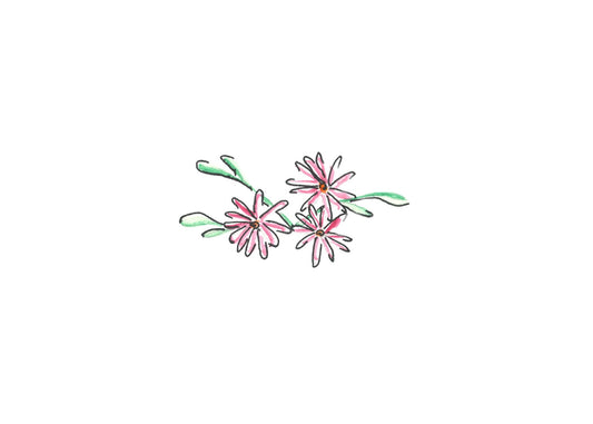 Pink coneflower bunch